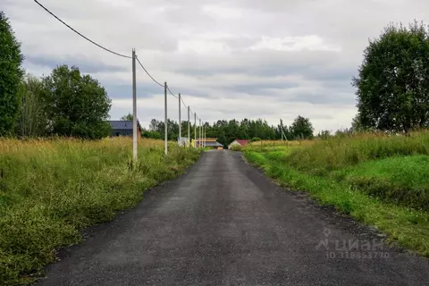 Участок в Ленинградская область, Всеволожский район, Куйвозовское ...