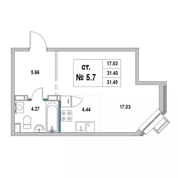 Студия Ленинградская область, Выборг ул. 2-я Южная, 4 (31.4 м)