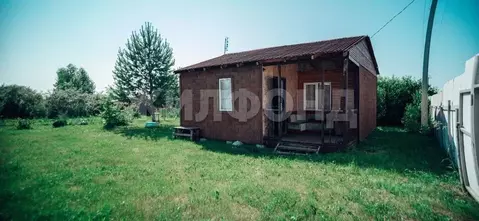 Дом в Новосибирская область, Бердск Луч СНТ,  (48 м)