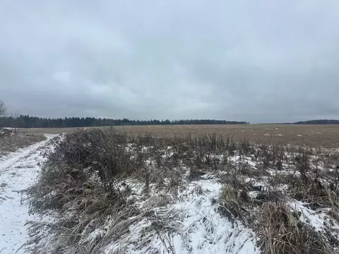 Участок в Московская область, Рузский муниципальный округ, д. Грибцово ...