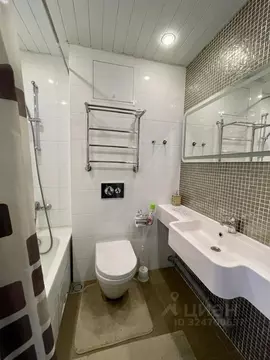 1-к кв. Санкт-Петербург ул. Хошимина, 16А (30.0 м)