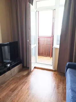 1-к кв. Новосибирская область, Новосибирск Красный просп., 310 (40.0 ...