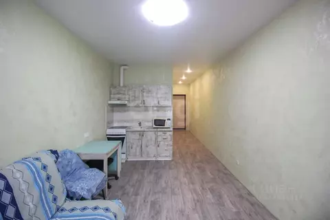 Студия Алтайский край, Барнаул ул. Шумакова, 11 (29.0 м)