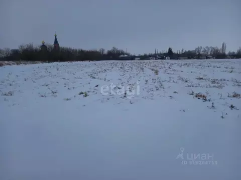 Участок в Курская область, Горшеченский район, Куньевский сельсовет, ...