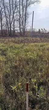 Участок в Тюменская область, Тюмень  (6.5 сот.)