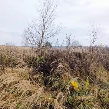 Участок в Московская область, Ступино городской округ, с. Хонятино  ...