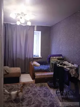 Комната Самарская область, Самара ул. Александра Матросова, 76А (17.0 ...