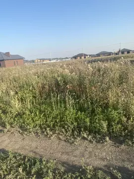 Участок в Ростовская область, Аксайский район, Щепкинское с/пос, пос. ...