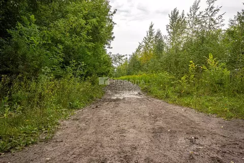 Участок в Новосибирская область, Искитимский район, Мичуринский ...