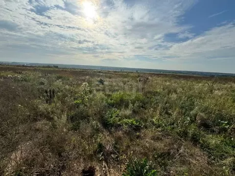 Участок в Вологодская область, д. Абакшино ул. Панкратова (15.0 сот.)