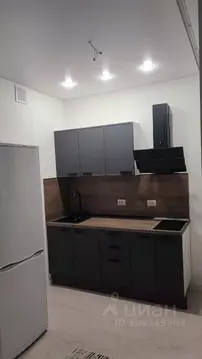 Студия Тюменская область, Тюмень Дамбовская ул., 29к1 (24.8 м)