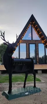 Дом в Калининградская область, Янтарный городской округ, пос. Синявино ...