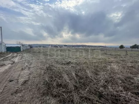 Участок в Воронежская область, Рамонский район, Новоживотинновское ...