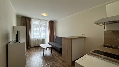 Студия Санкт-Петербург просп. Стачек, 216к2 (24.0 м)