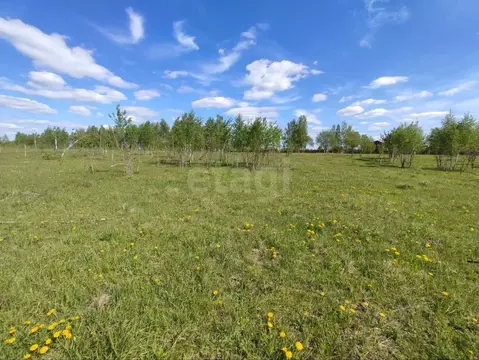 Участок в Брянская область, Брянский район, Глинищевское с/пос, с. ...