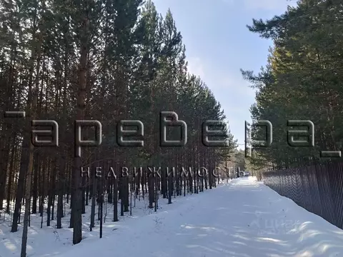 Участок в Красноярский край, Емельяновский муниципальный округ, ...