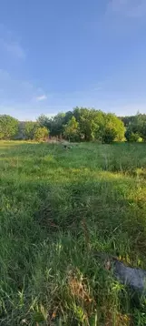 Участок в Свердловская область, Среднеуральск муниципальный округ, ...