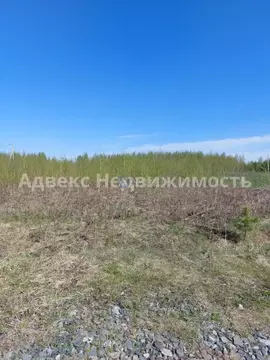 Участок в Тюменская область, Нижнетавдинский район, с. Иска ул. ...