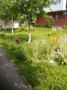 Комната Москва д. Городище, Десна-Городище СНТ, 175 (12.0 м)