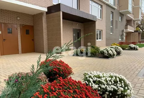 Помещение свободного назначения в Ростовская область, Ростов-на-Дону, ...