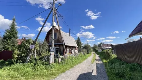Дом в Новосибирская область, Тогучинский район, Биолог СТ  (40 м)