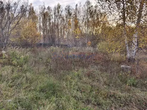 Участок в Нижегородская область, Нижний Новгород с. Новые Ключищи, ул. ...