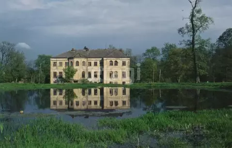 Участок в Калининградская область, Зеленоградский муниципальный округ, ...