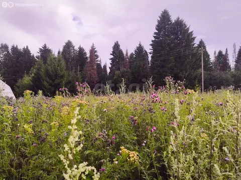 Участок в Пермский муниципальный округ, деревня Верх-Речки, СНТ ...