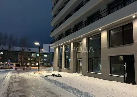 Гараж в Новосибирская область, Новосибирск ул. Аэропорт, 88 (3 м)