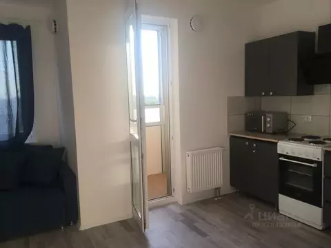 Студия Санкт-Петербург ул. Чарушинская, 24к1 (25.0 м)