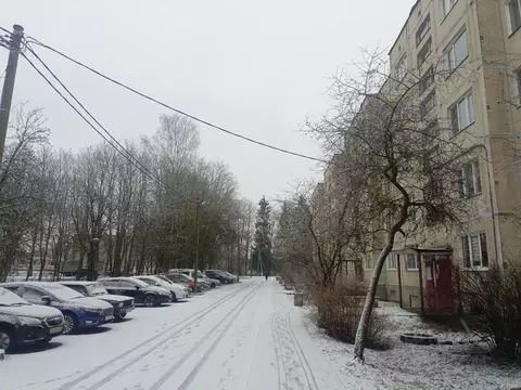 1-к кв. Ленинградская область, Гатчинский муниципальный округ, д. ...