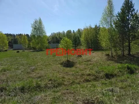 Участок в Новосибирская область, Мошковский район, с. Ташара Восточная ...