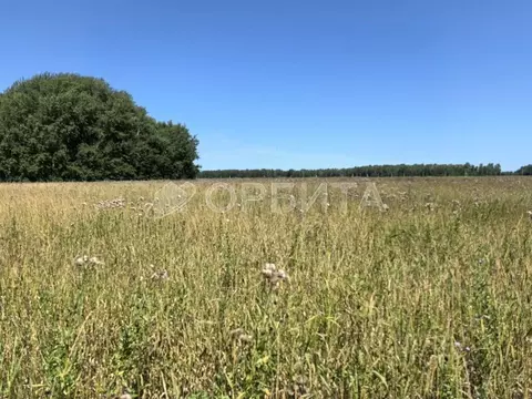 Участок в Тюменская область, Тюменский район, с. Кулаково  (91.0 сот.)