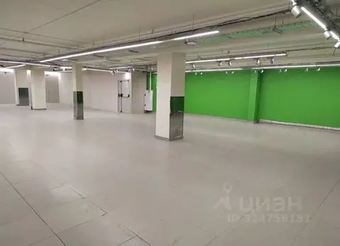 Помещение свободного назначения в Санкт-Петербург просп. Просвещения, ...