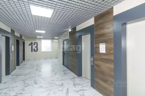 Студия Челябинская область, Челябинск просп. Ленина, 64Б (31.0 м)