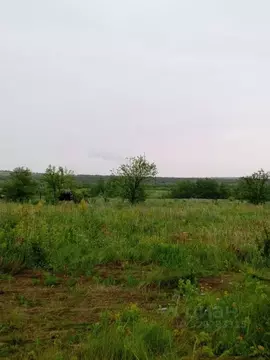 Участок в Саратовская область, с. Багаевка ул. Юбилейная (10.0 сот.)