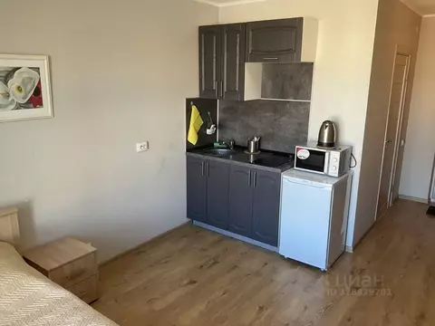 Студия Санкт-Петербург пос. Парголово, проезд Толубеевский, 8к2 (20.0 ...