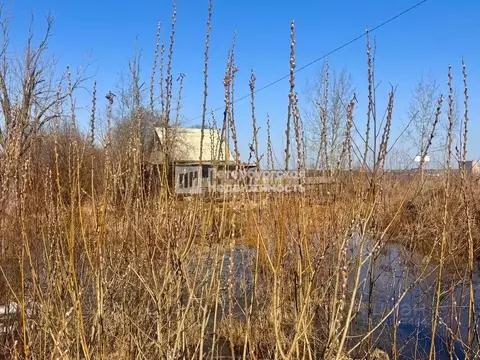 Участок в Ленинградская область, Тосненский район, Красноборское ...