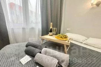 1-к кв. Московская область, Солнечногорск городской округ, Голубое пгт ...