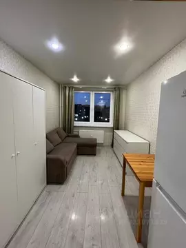 Студия Ленинградская область, Сертолово Всеволожский район, ул. ...