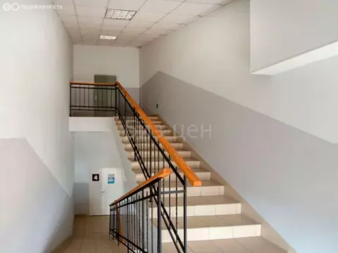 Офис (45.6 м)