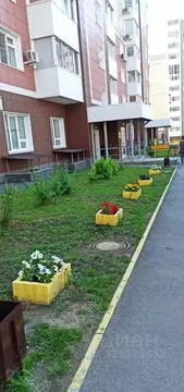 1-к кв. Алтайский край, Барнаул тракт Павловский, 299 (34.0 м)