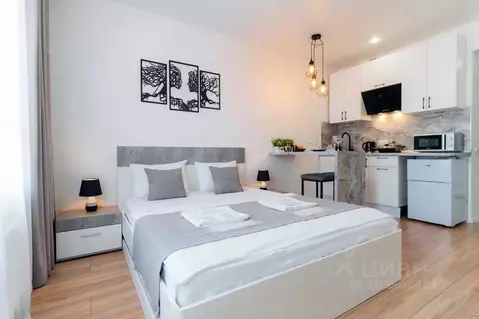 Студия Калужская область, Калуга ул. 65 лет Победы, 6 (25.0 м)