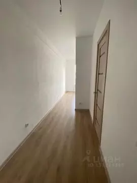 Студия Тверская область, Тверь ул. Медовая, 9к4 (20.0 м)