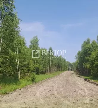 Участок в Ивановская область, Лежневское с/пос, д. Мальчиха  (10.0 ...