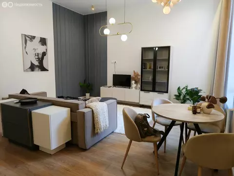 1-комнатная квартира: Санкт-Петербург, Тучков переулок, 11/5 (48.2 м)