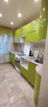 2-к кв. Санкт-Петербург Долгоозерная ул., 1 (49.3 м)