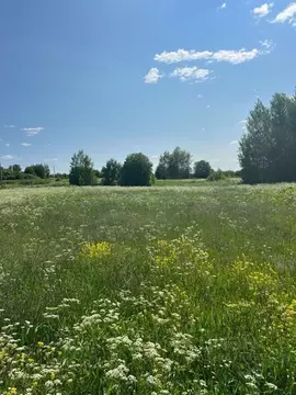 Участок в Ярославская область, Угличский муниципальный округ, д. ...