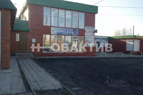 Помещение свободного назначения в Новосибирская область, Чистоозерное ...