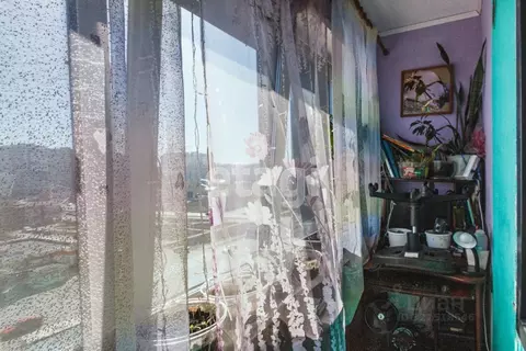 Студия Вологодская область, Вологда ул. Маршала Конева, 26 (28.0 м)